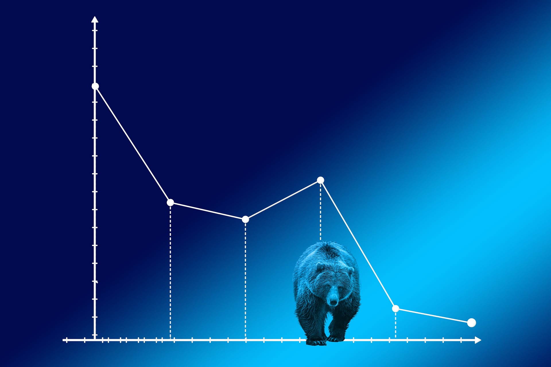 5 Do’s And Don’ts To Consider During A Bear Market